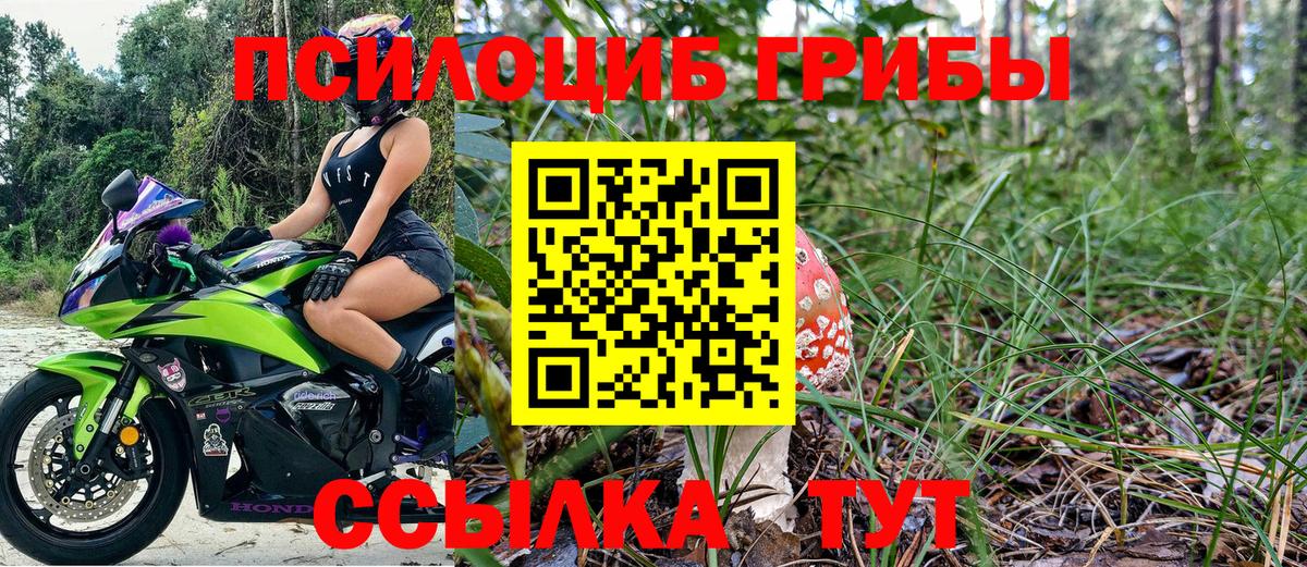 наркотики  Псилоцибиновые грибы Psilocybine cubensis  Вход с VPN  Россошь 